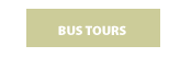 Bus Tours