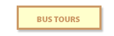 Bus Tours